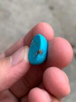 17.95ct Afghan Turquoise Cabochon: Compact Beauty with Vibrant Character - Image 9