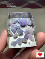 46.30 Ct Premium Hackmanite Rough Lot from Afghanistan – A Rare Gemstone Treasure