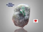 Massive 183.0ct Swat Emerald Specimen – A Collector’s Centerpiece
