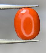 Unveiling the Beauty of a 4.20ct Coral Stone: A Gem of Timeless Elegance and Vibrancy - Image 5