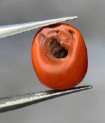 Unveiling the Beauty of a 4.20ct Coral Stone: A Gem of Timeless Elegance and Vibrancy - Image 7