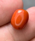 Unveiling the Beauty of a 4.20ct Coral Stone: A Gem of Timeless Elegance and Vibrancy - Image 9