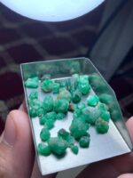 The Crown Jewel of Swat: 50.30ct Emerald Rough Lot - Image 10