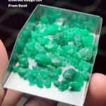 46.68 ct Swat Emerald Rough Lot – Formed by Nature, Ready for Vision