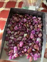 573 ct Afghan Ruby Rough Lot — Crafting Potential in Every Crystal - Image 2