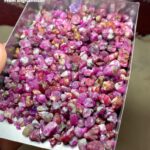 847.70ct Ruby Rough Lot – Afghanistan’s Crimson Treasure