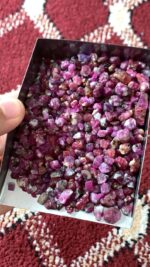 847.70ct Ruby Rough Lot – Afghanistan’s Crimson Treasure - Image 2