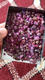 847.70ct Ruby Rough Lot – Afghanistan’s Crimson Treasure - Image 3
