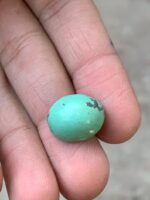 14.35 Carat Afghan Turquoise Cabochon – Rich Color and Smooth Elegance - Image 7