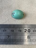 14.35 Carat Afghan Turquoise Cabochon – Rich Color and Smooth Elegance - Image 8