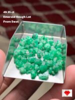 Rare Swat Emerald: 49.35ct Rough with Exceptional Character