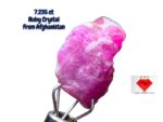 7.235ct Vivid Red Afghan Ruby Crystal – Natural Gemstone