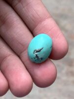 Elegant Afghan Turquoise Cabochon – 14.15 Carats of Natural Charm - Image 4