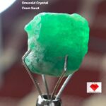 9.95 Carat Emerald Crystal from Swat Valley, Pakistan