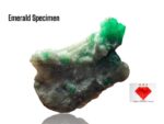 99.80ct Swat Emerald Specimen – Sleek, Natural Crystal with Rich Green Depth