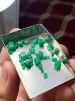 Swat Emerald Collection: 20.00ct Emerald Rough Lot (7.80 × 7.31 × 4.82 mm) - Image 3