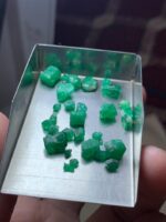 Swat Emerald Collection: 20.00ct Emerald Rough Lot (7.80 × 7.31 × 4.82 mm) - Image 8