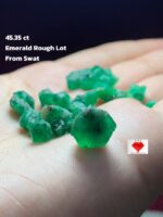 Swat Emerald Excellence: 45.35 Carat Rough Emerald Lot