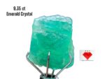 9.35ct Swat Emerald Crystal: Natural Green Beryl with Raw Elegance