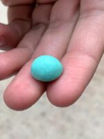 Balanced Afghan Turquoise Cabochon – 8.70 Carats of Natural Beauty - Image 2