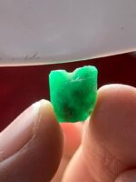 Nature’s Green Treasure: 7.77ct Emerald Crystal from Swat Valley - Image 5