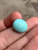 Elegant 11.35ct Afghan Turquoise Cabochon – Natural Gemstone Treasure - Image 3