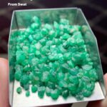 65.55 Carat Swat Emerald Rough Lot: Compact, Deep Crystals with Strong Presence