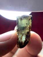 25.94ct Laghman Emerald Crystal: A Monumental Gem from Afghanistan’s Emerald Belt - Image 2