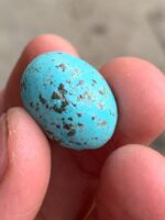 Majestic Afghan Turquoise: 19.86 Carats of Natural Splendor - Image 2