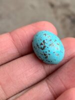 Majestic Afghan Turquoise: 19.86 Carats of Natural Splendor - Image 5