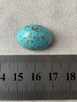 Majestic Afghan Turquoise: 19.86 Carats of Natural Splendor - Image 8