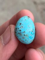 Majestic Afghan Turquoise: 19.86 Carats of Natural Splendor - Image 9