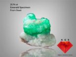 A 21.74-Carat Swat Emerald Specimen: A Compact Treasure of Deep Green Beauty