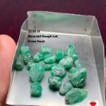 33.65 ct Emerald Rough Lot from Swat: A Collector’s Cache of Untouched Green