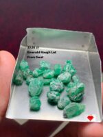 33.65 ct Emerald Rough Lot from Swat: A Collector’s Cache of Untouched Green