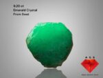 A Charming 9.20-Carat Swat Emerald Crystal — Compact Beauty in Prismatic Form