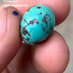 Luxurious Afghan Turquoise Cabochon: 14.95 Carats of Vibrant Beauty