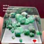 Discover the Raw Beauty: 44.75ct Natural Swat Emerald Rough Lot