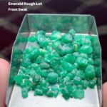 50.25 Carat Swat Emerald Rough Lot: Balanced Crystals with Strong Color Potential