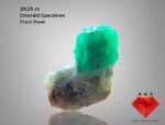 A 20.25-Carat Swat Emerald Specimen — Dimensions, Beauty & Collector Value