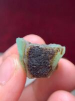 Magnificent 50.45ct Laghman Emerald Crystal – A Bold Statement in Natural Beauty - Image 9