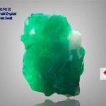 10.40ct Natural Emerald Crystal from Swat Valley – Untreated Collector's Gem (19.23 × 14.94 × 6.38 mm)