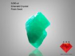 5.00 ct Natural Emerald Crystal from Swat Valley – Perfect Weight with Solid Proportions