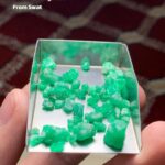 Swat Emerald Rough Lot – 38.95 Carats of Raw Gemstone Beauty