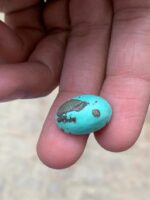 Natural Beauty in Every Hue — 15.90 ct Afghan Turquoise Cabochon - Image 9