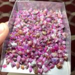 532ct A Monumental Afghan Ruby Rough Lot