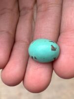 Afghan Turquoise Gemstone — 13.95 ct Natural Cabochon - Image 4