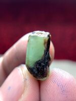 Striking 9.20ct Emerald Crystal from Laghman, Afghanistan - Image 8