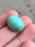 22.82ct Afghan Turquoise Cabochon: Elegance in Proportion and Color - Image 5