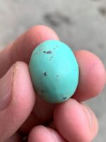 22.82ct Afghan Turquoise Cabochon: Elegance in Proportion and Color - Image 9
